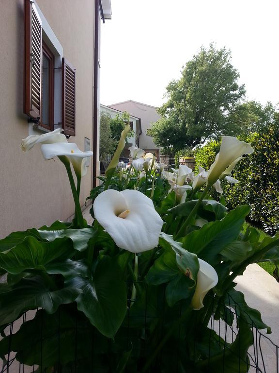 Ulika Rooms & Apartments Porec Exterior photo